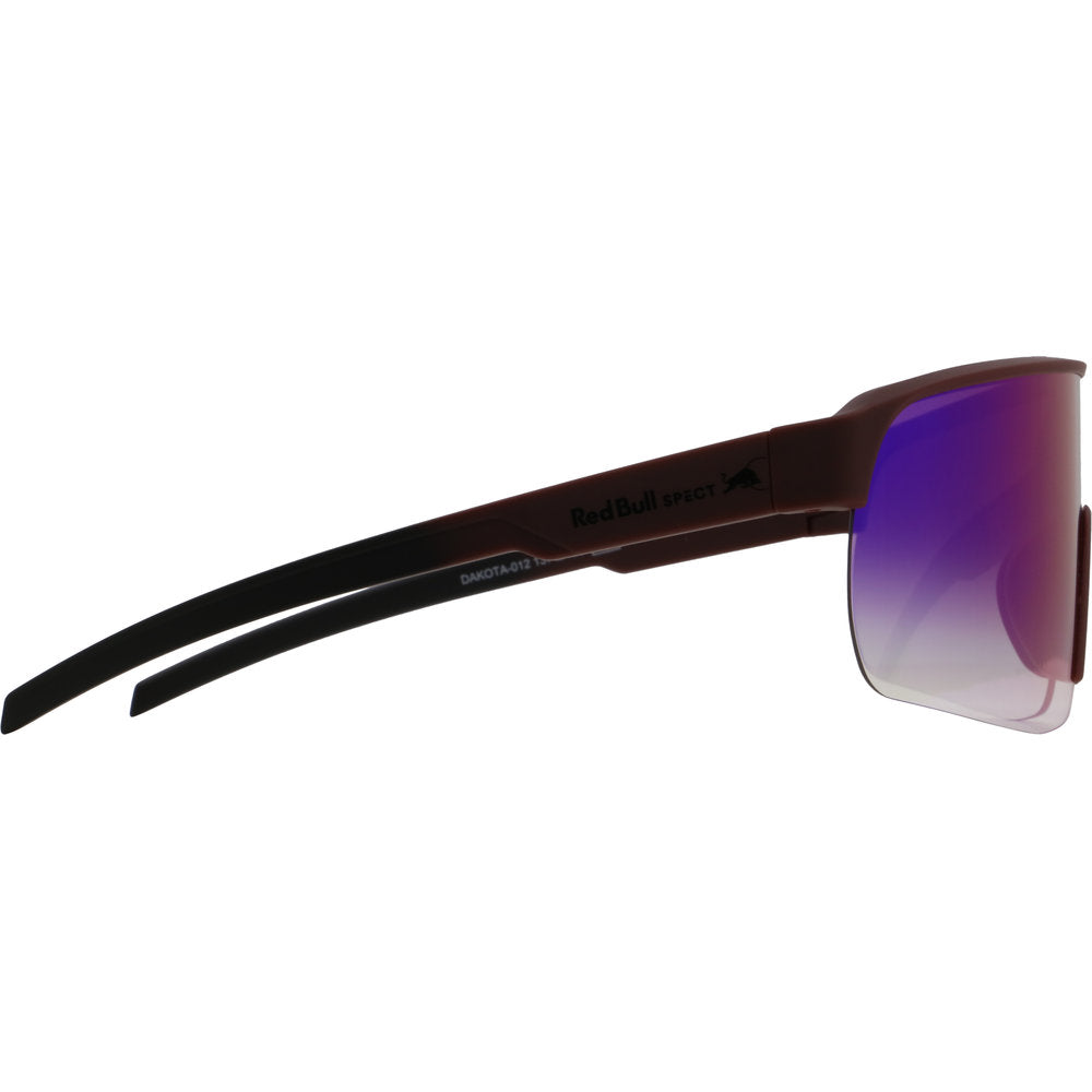 Voksen - Dakota Solbriller - 012 Purple